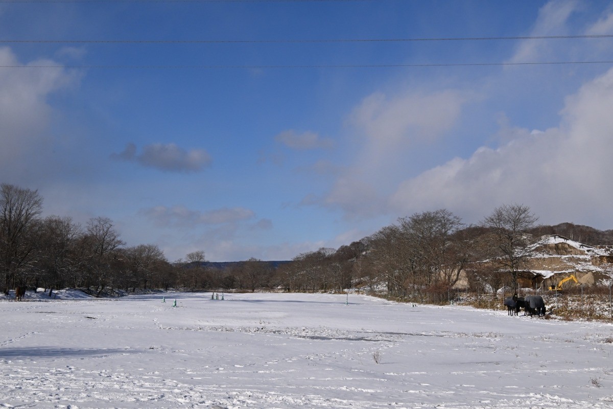 5ab5153211313fd46701c1857cc0679b-1765911368.jpg 5ab5153211313fd46701c1857cc0679b-1765911368.jpg